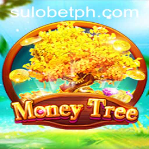 Exploring MoneyTree: Unlocking the Secrets with Sulo Bet
